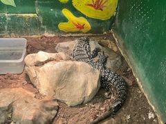 -上海大自然野生昆虫馆