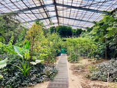 -呀路古热带植物园