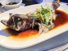 清蒸石斑鱼-阿姐小菜(三林店)