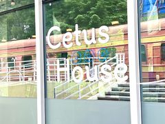 -Cetus coffee鲸鱼座咖啡·拼豆(二仙桥公园店)