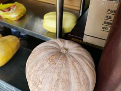-龚家花园农家乐休闲别墅