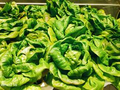-九孔·筒骨莲藕汤锅(大明宫万达店)