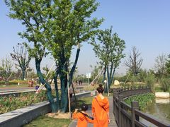 -上海长兴岛郊野公园