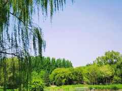-将府公园