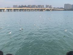 -蠡湖大桥公园