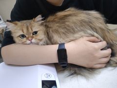 -瑞鹏宠物医院·超声·骨科·奇麟分院(蜀都万达店)