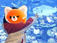 -欢乐海岸海洋奇梦馆