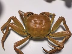 -四道口水产市场