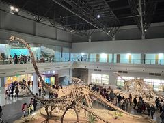 -自贡恐龙博物馆