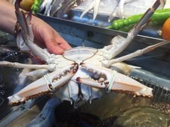 -沈家门海鲜夜排档(东港店)