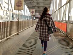 -武汉关码头(轮渡站)