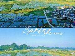 -会仙湿地