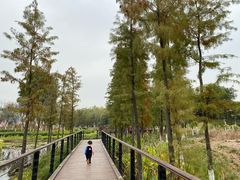 -映月湖公园