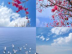 -大理洱海