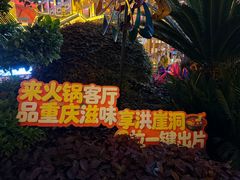 -小天鹅火锅·一线江景洪鼎旗舰店(洪崖洞店)