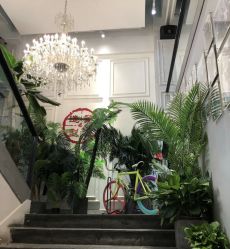 -重道造型