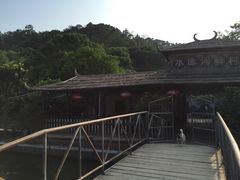 -水库河鲜村