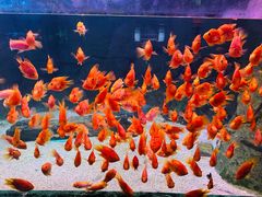 -常州海昌海洋探索馆