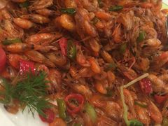 -中家鑫园温泉酒店鑫悦汤泉