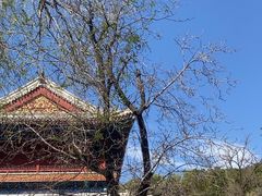 -潭柘寺景区