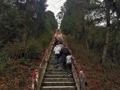 -江西阳明山国家森林公园