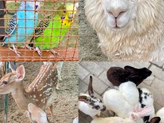 -郑州方特梦幻王国