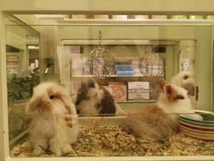 -龙猫仔乐园(惠福东路店)