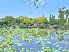 -无锡蠡湖国家湿地公园-蠡园