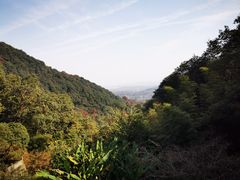 -韬光茶庵