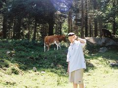 -硗碛藏寨·神木垒景区