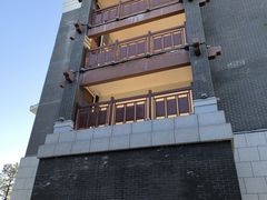 -王借岗森林公园