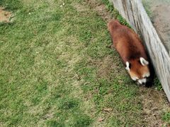 -泉州海丝野生动物世界