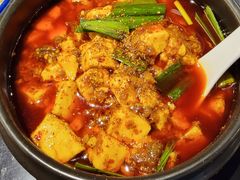 -陈麻婆豆腐总店