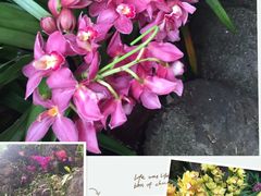 -南通洲际绿博园