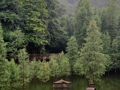 -广州市帽峰山景区