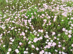 -白塘生态植物园