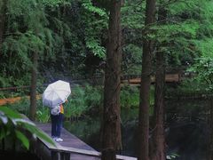 -广州兰圃