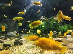 -福州罗源湾海洋世界旅游区