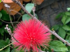 -三亚南山文化旅游区