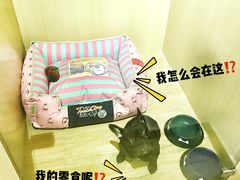 -Double Rui宠物酒店