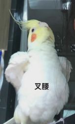 -八佰伴8008星级形象店