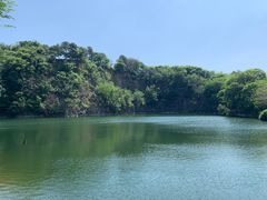 -王借岗森林公园