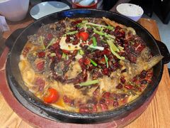 -老板恋上鱼(高新万达店)