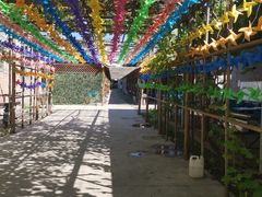 -亲兄弟真人CS团建拓展基地