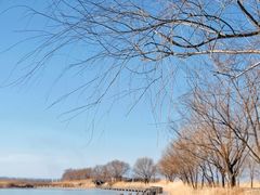 -野鸭湖国家湿地公园