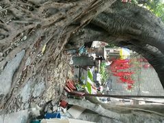 android_upload_pic-小洲村