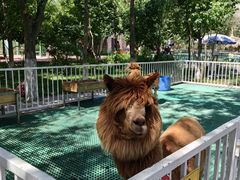 -水上乐园·欢乐世界