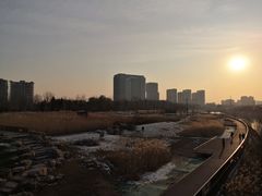 -西海子公园