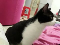 -宠颐生宠物医院·综合诊疗(先锋分院)