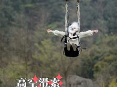 -梦幻奥陶纪景区